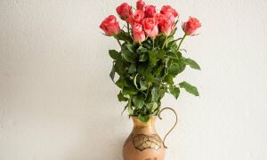 Как сохранить розы в букете подольше дома? Флористика