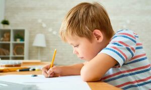 Как заставить ребенка делать уроки без истерик