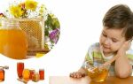 С какого возраста можно давать ребенку мёд