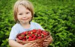 С какого возраста можно давать ребенку ягоды