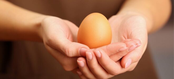 Можно ли давать сырые яйца детям